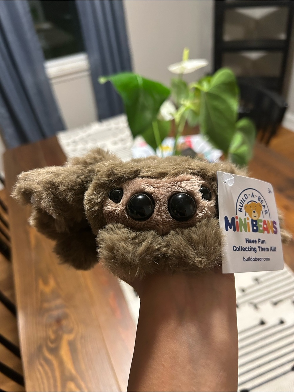 NWT Build-A-Bear Mini Beans Jumping Spider